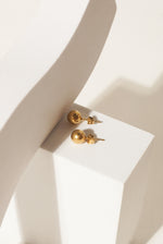Load image into Gallery viewer, Dot Earrings
